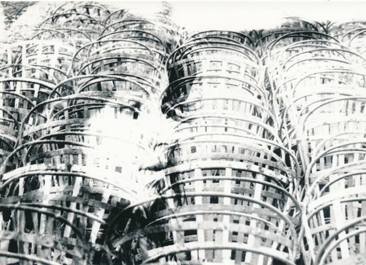 Photomontage au visage et panier photo photographie argentique 1973