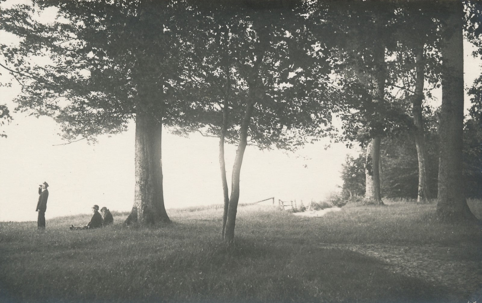 Au bord lac deux femmes arbre homme aux jumelles photographie argentique postale