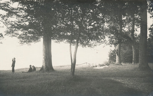 Au bord lac deux femmes arbre homme aux jumelles photographie argentique postale