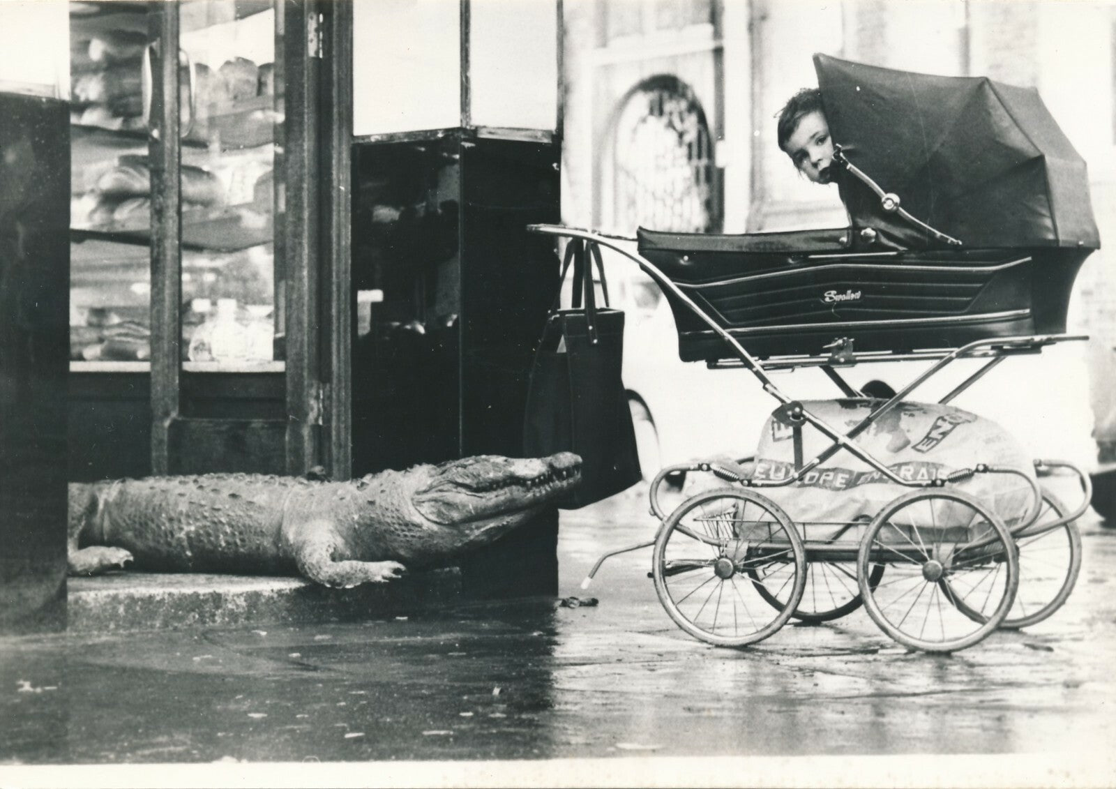 Finsbury Town Hall London enchères 1974 crocodile humour bébé photo photographie
