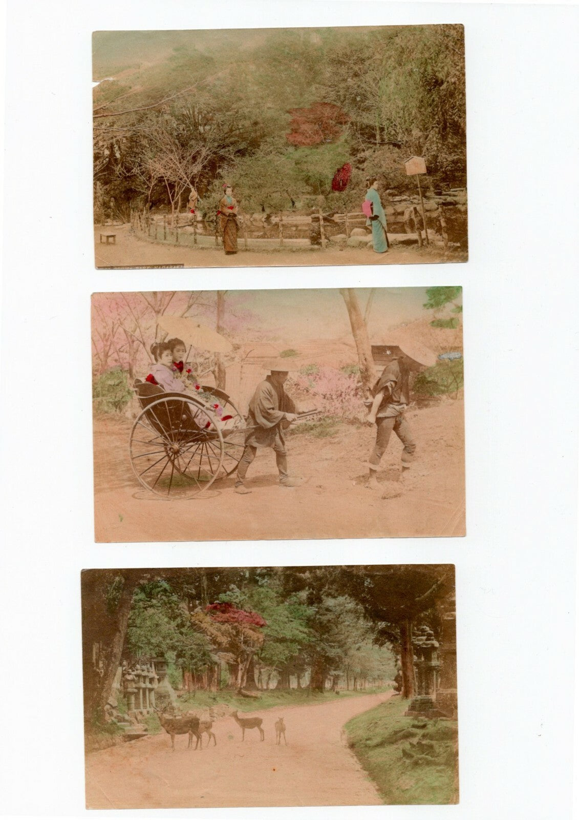 Japon jardins paysages scènes genre 15 tirages papier albuminé aquarellés photo