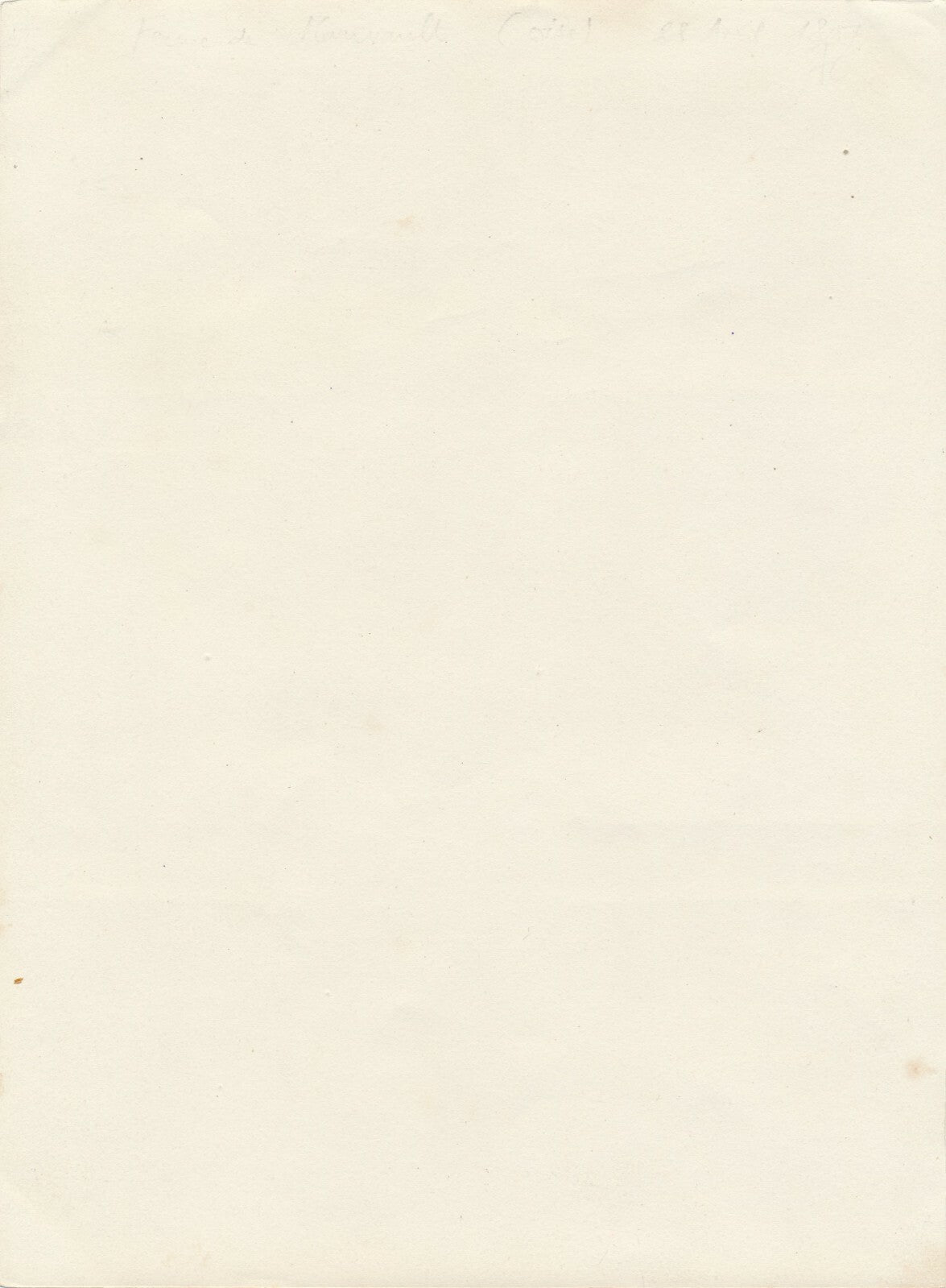 Arbre cour propriété campagne photo photographie citrate v. 1910