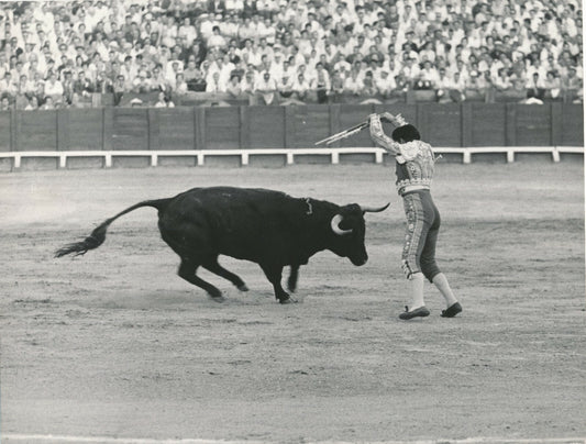 PIERLUIGI PRATURLON  Italie photo photographie époque corrida taureau 