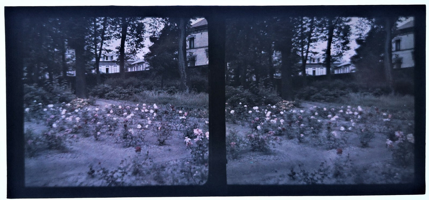 6 stéréo autochrome jardins fleurs photo photographie