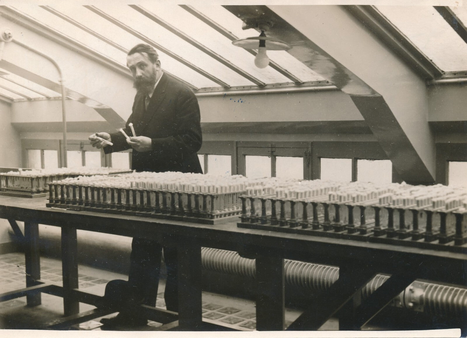 Émile ROUBAUD biologiste photo photographie laboratoire maïs insecte