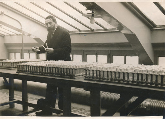Émile ROUBAUD biologiste photo photographie laboratoire maïs insecte