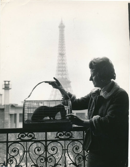 Tour Eiffel, fouine, cage, personnalité... photo photographie époque
