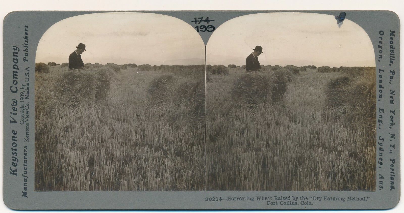 récolte blé Colorado Etats-Unis stéréo stéréographie photo photographie