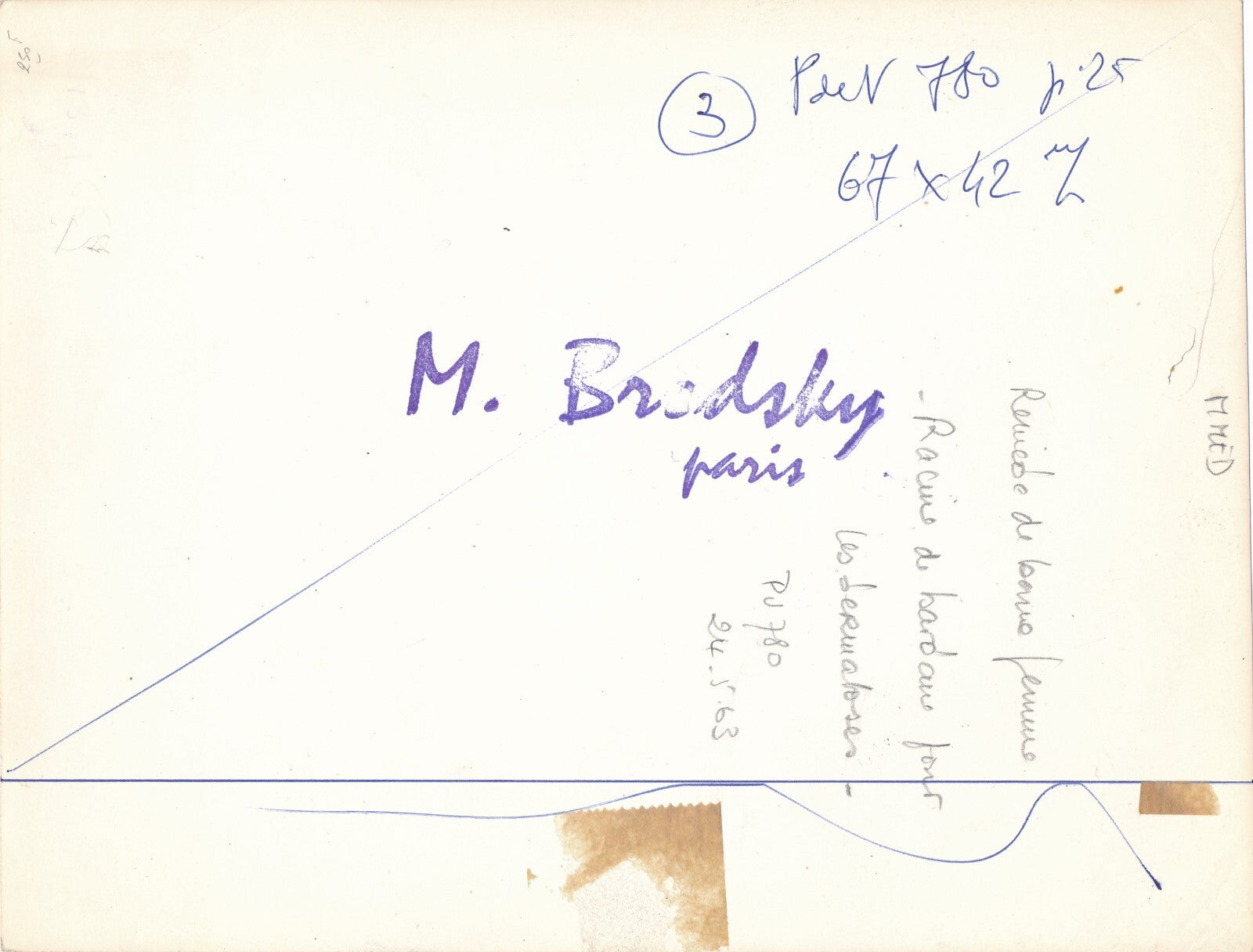 Brodsky remède racines bardanes dermatoses photo photographie