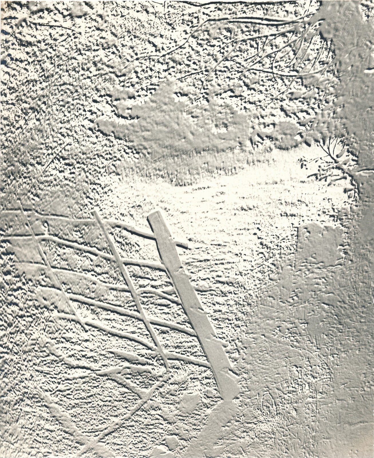 Paysage : solarisation photo photographie époque v. 1960