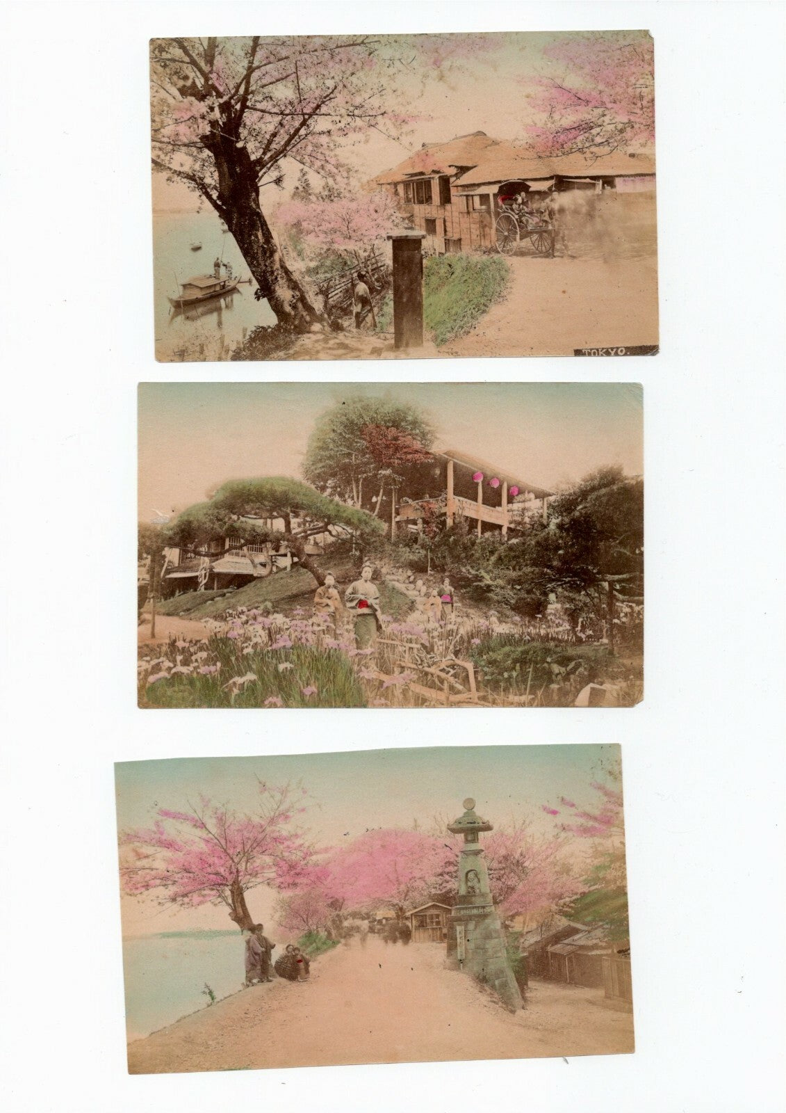 Japon jardins paysages scènes genre 15 tirages papier albuminé aquarellés photo