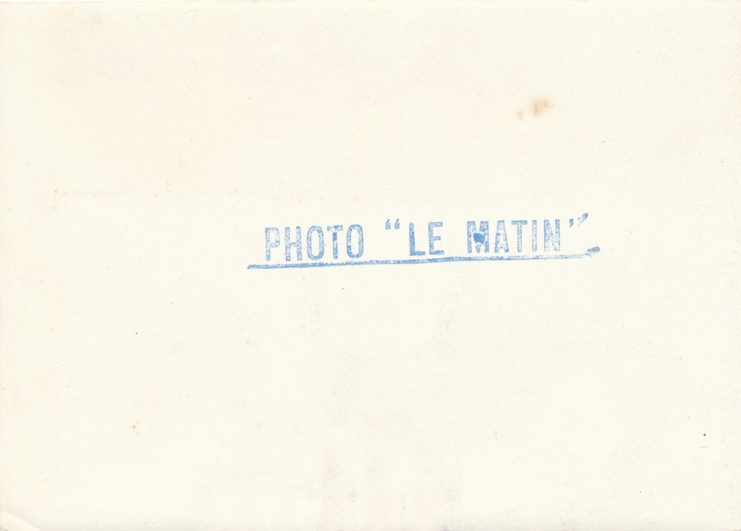 L'Artiste animalier lion zoo croquis dessin photo photographie