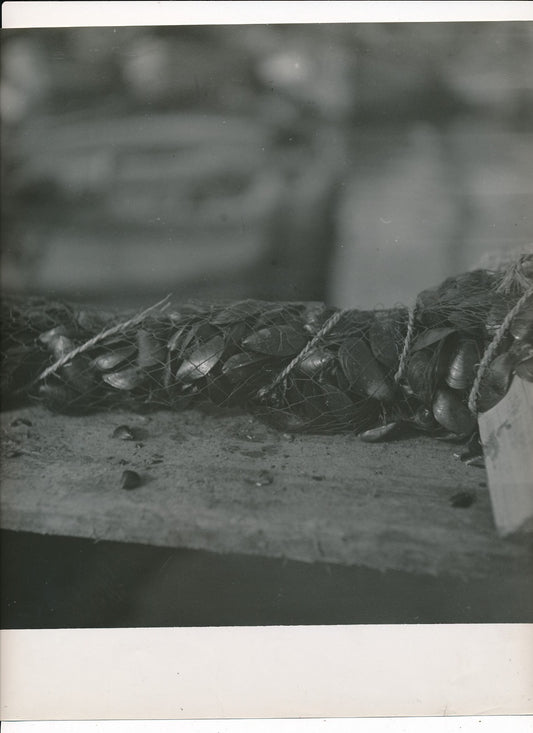 Les moules à Marseille photographie Denise Bellon tirage argentique époque