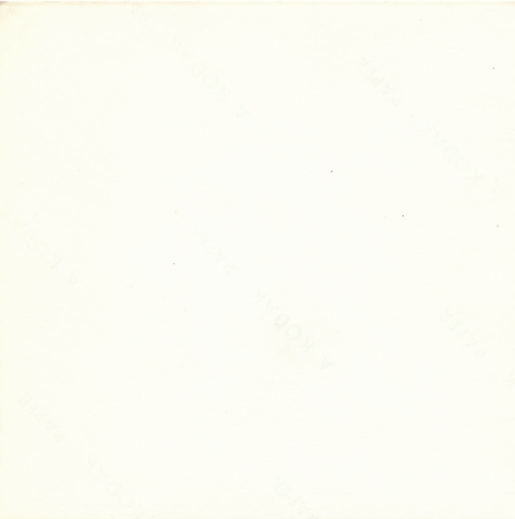 Ionesco photographie photo amateur avec Jacques Lassaigne