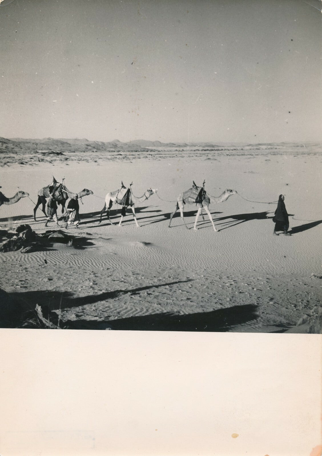 Désert Sahara Frison-Roche Georges Tairraz 1951 expédition 4 photo phtographie