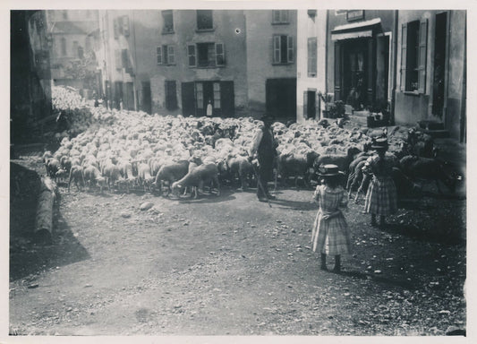 Moutons traversant un village photo photographie argentique v. 1920