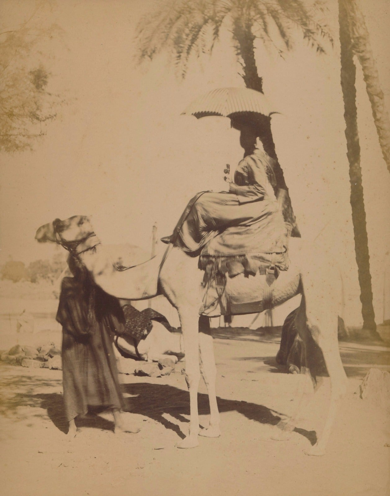 Moyen Orient femme chameau albumine photo v. 1880 photographie