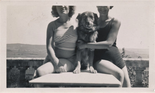 Snapshot femme et chiens cadrage photographie