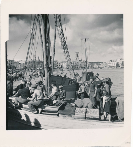 Port de la Rochelle la criée v. 1950 photo photographie pêche