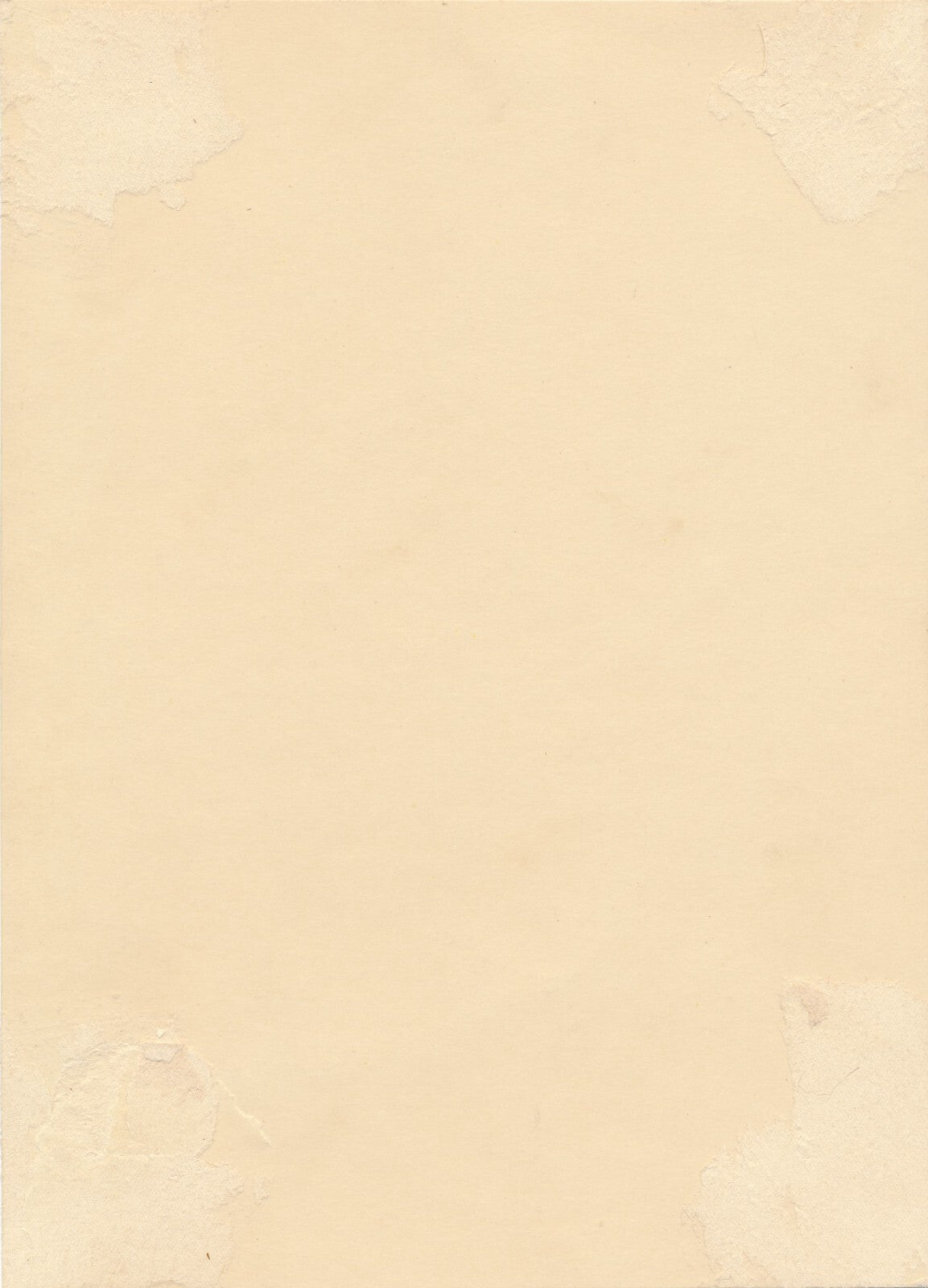 Femme élégante Manassé Wien photo photographie époquue v. 1930