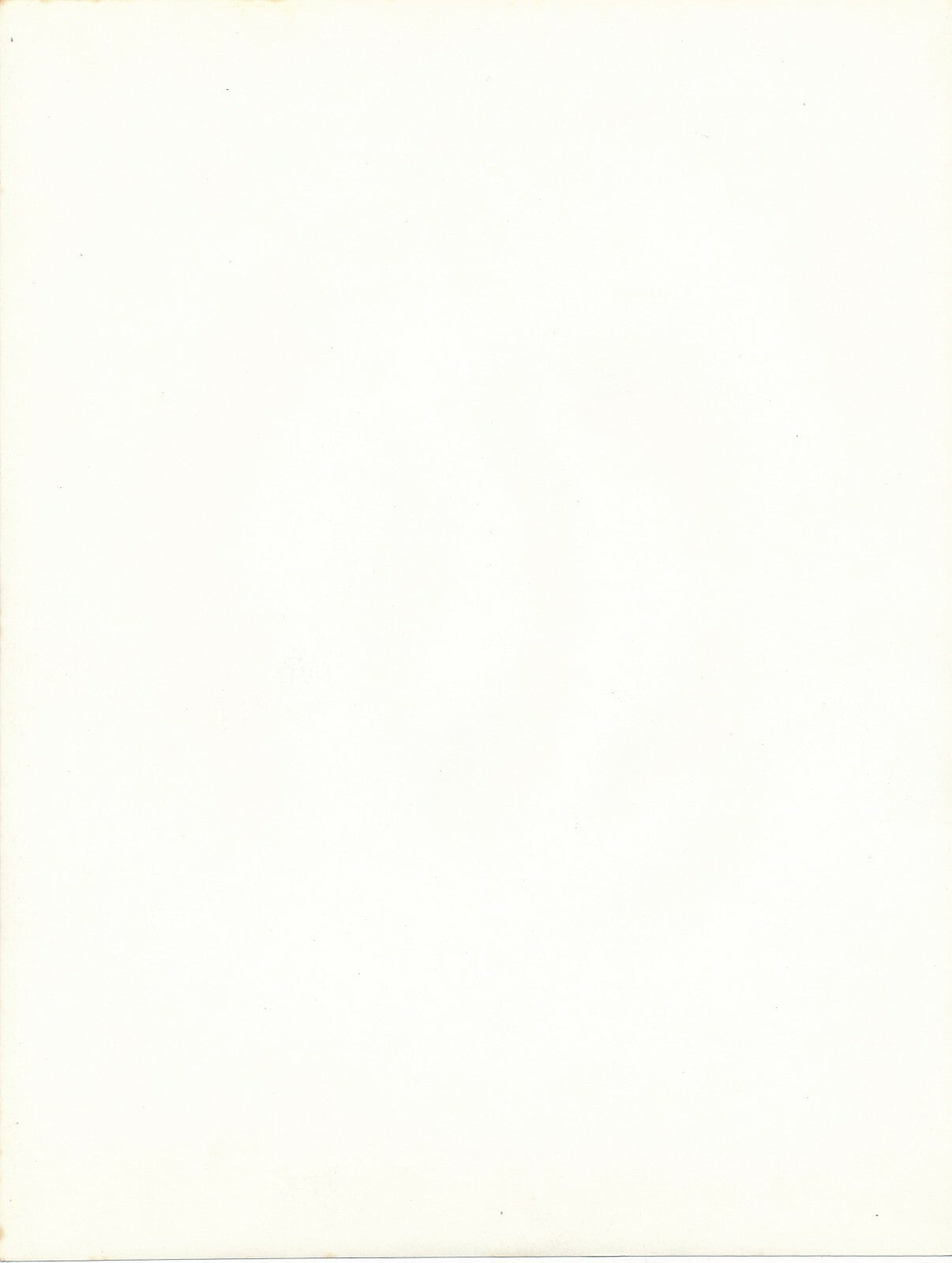 Eléphant photographie tirage argentique époque 1950