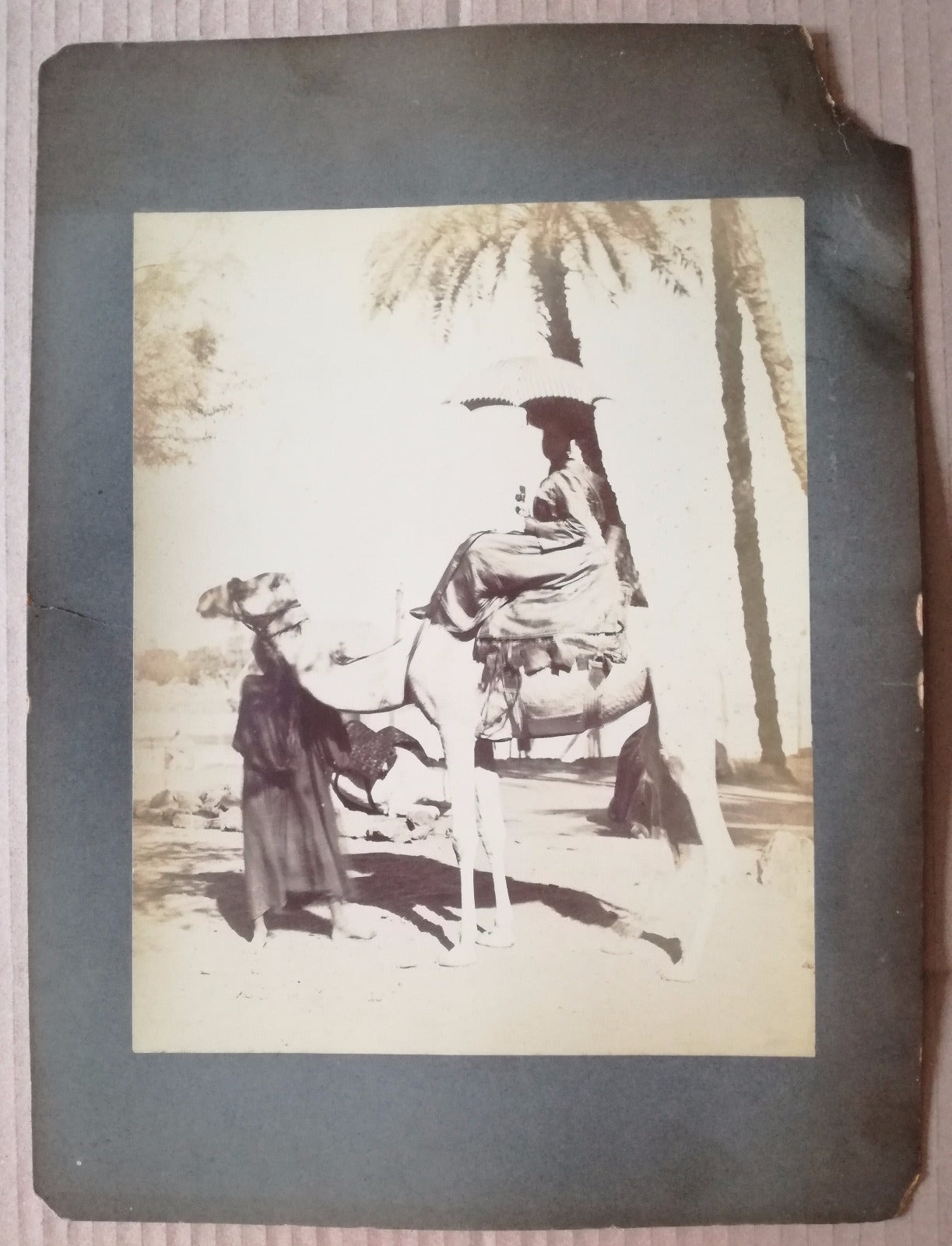 Moyen Orient femme chameau albumine photo v. 1880 photographie