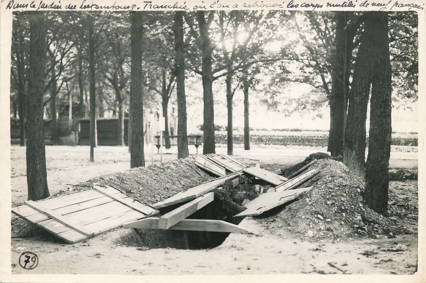 LIBÉRATION DE PARIS, 1944  12 photographies (18 x 12 cm) légendées Luxembourg