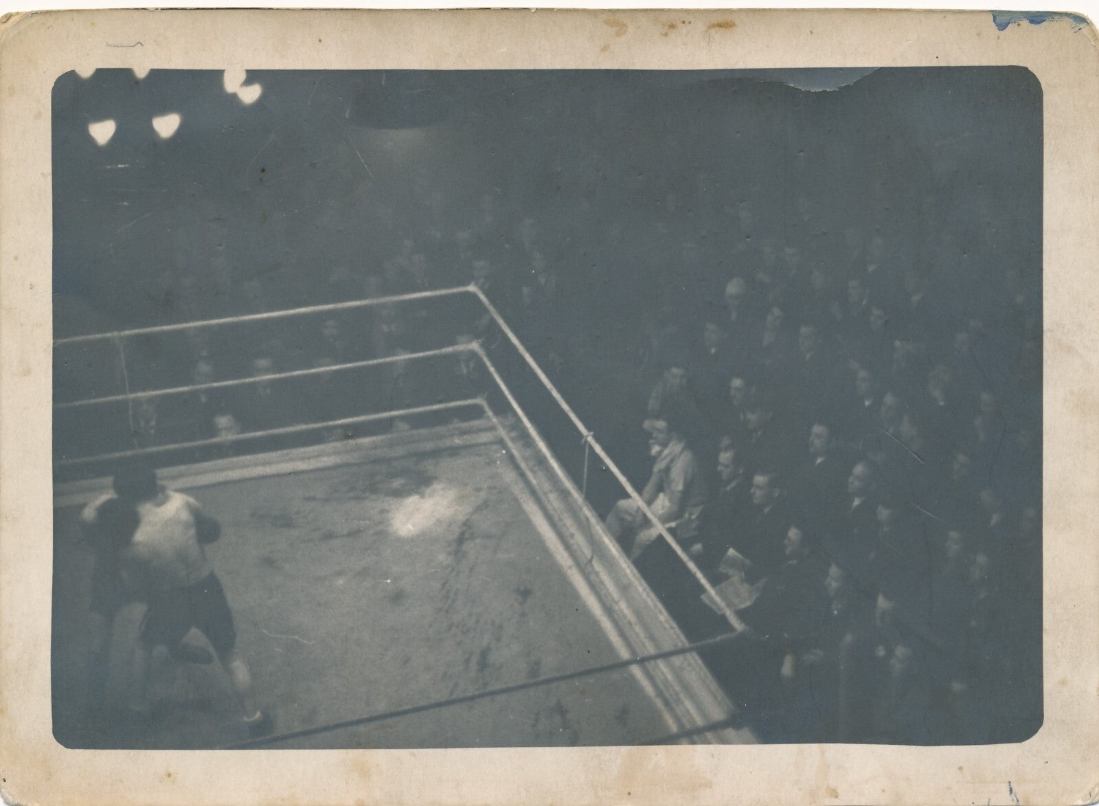 ring Combat de boxe photo amateur sport photographie