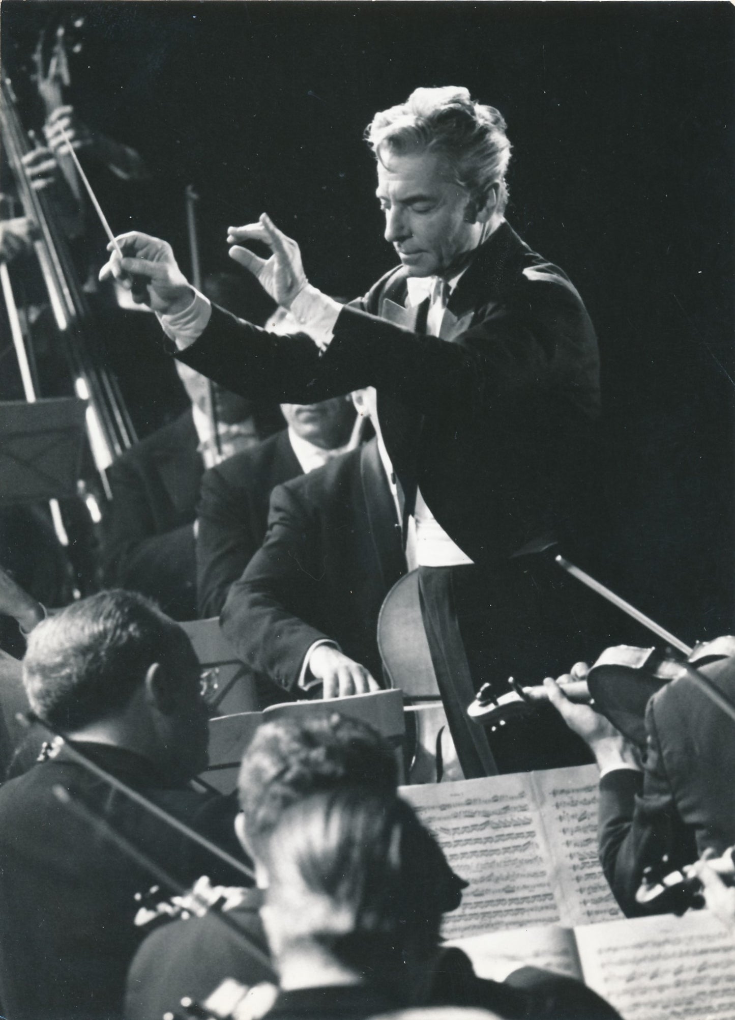 Herbert von KARAJAN photo photographie musicen portrait Lauterwasser