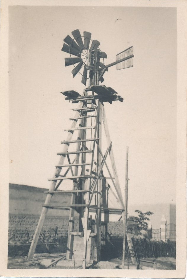 bel ensemble Homs Syrie 14 photos photographie amateur époque v. 1920 habitants