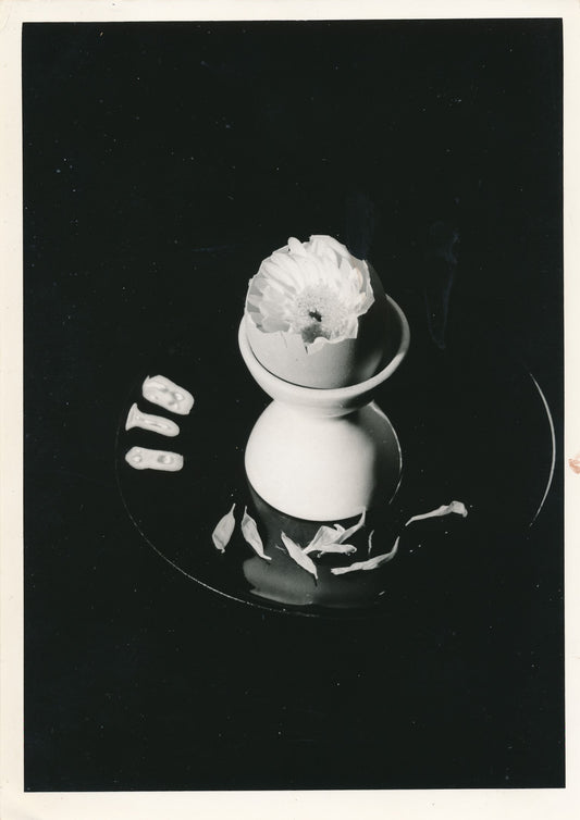 Anonyme Nature morte coquetier photo photographie époque années 1970