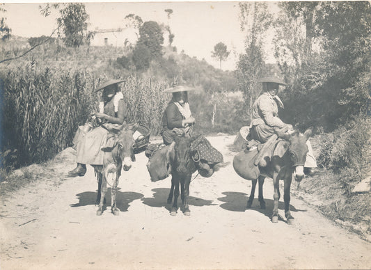 8 photo Corse types corse habitants vers 1920 photographie photo Tomasi Moretti