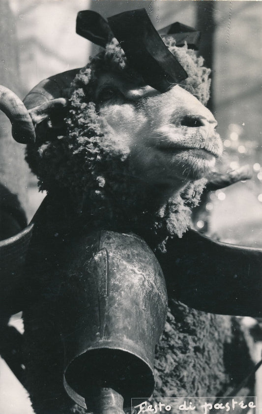 La festo di pastre, fête des bergers Istres ? photo photographie vintage chèvre