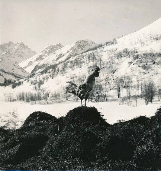  photo photographie époque neige
