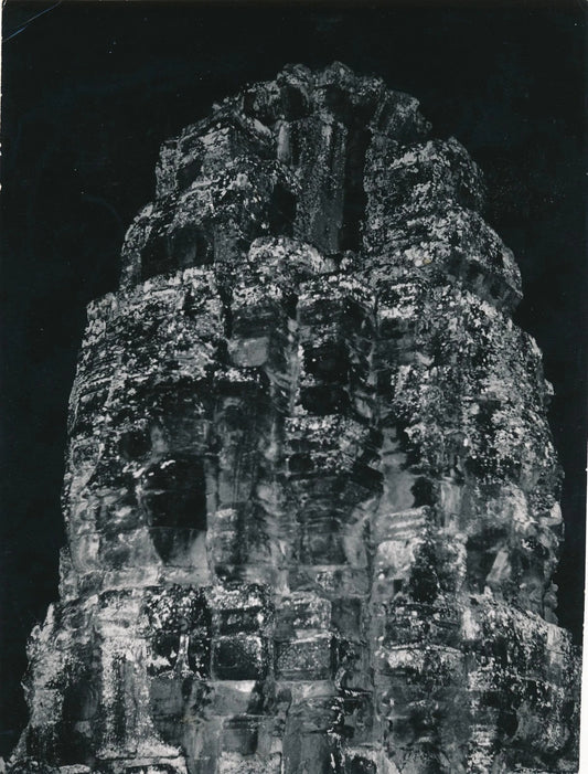 Rayon de miel photo photographie époque v. 1950nature abeille