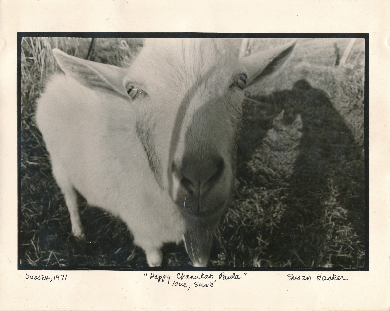 Susan HACKER photographe photo signée dédicacée 1971 argentique