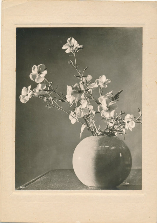 Étude au vase de fleur 1 nature morte c. 1940 photo photographie époque