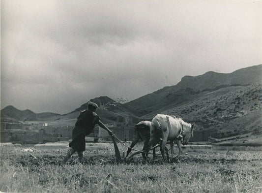 Maroc champ paysan labour tirage argentique époque photographe Jean Belin