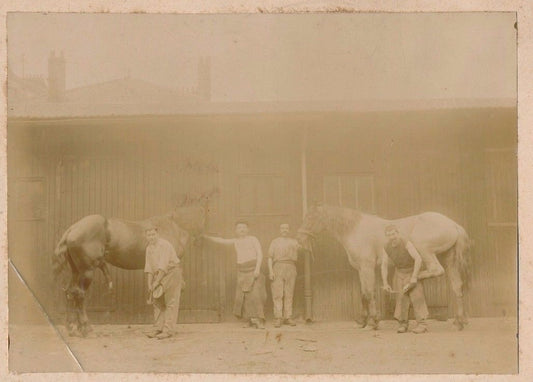sabot ferrage vers 1880 tirage sur papier albuminé monté sur carton chevaux