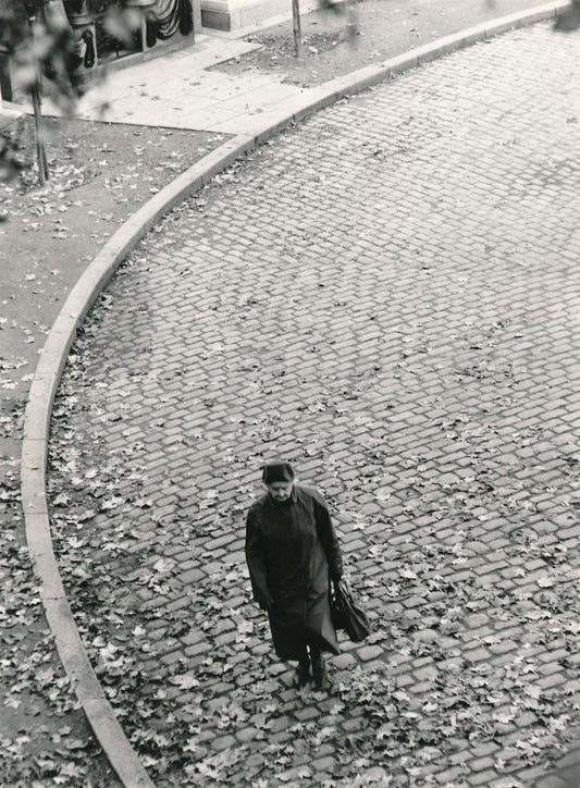  ligne architecture argentique vintage pavés