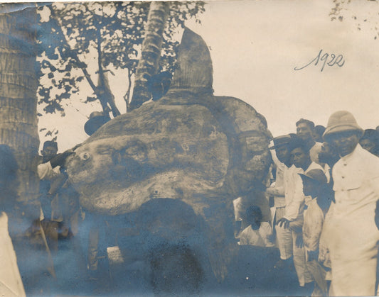 pêcheIndonésie 1922 2 tirages argentique époque